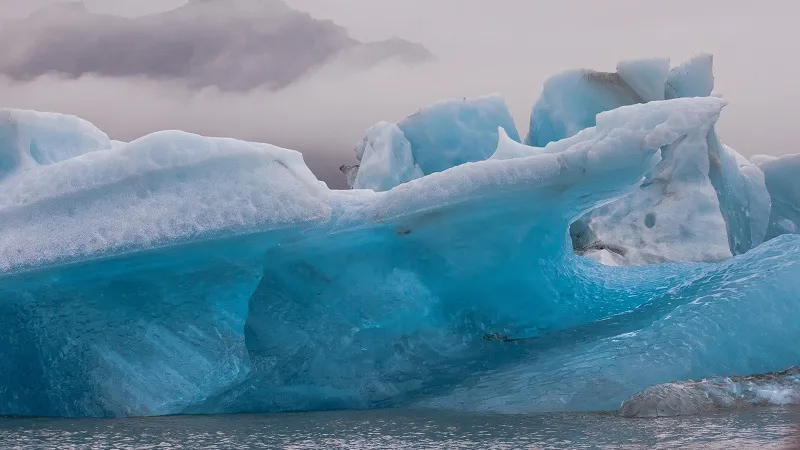Таяние льдов Антарктиды угрожает существованию морской жизни