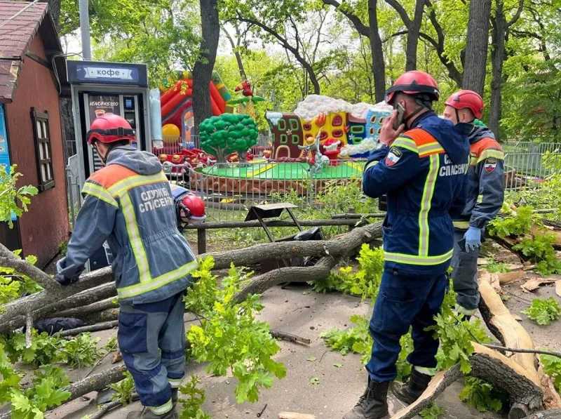 Дерево в парке упало и убило двоих людей