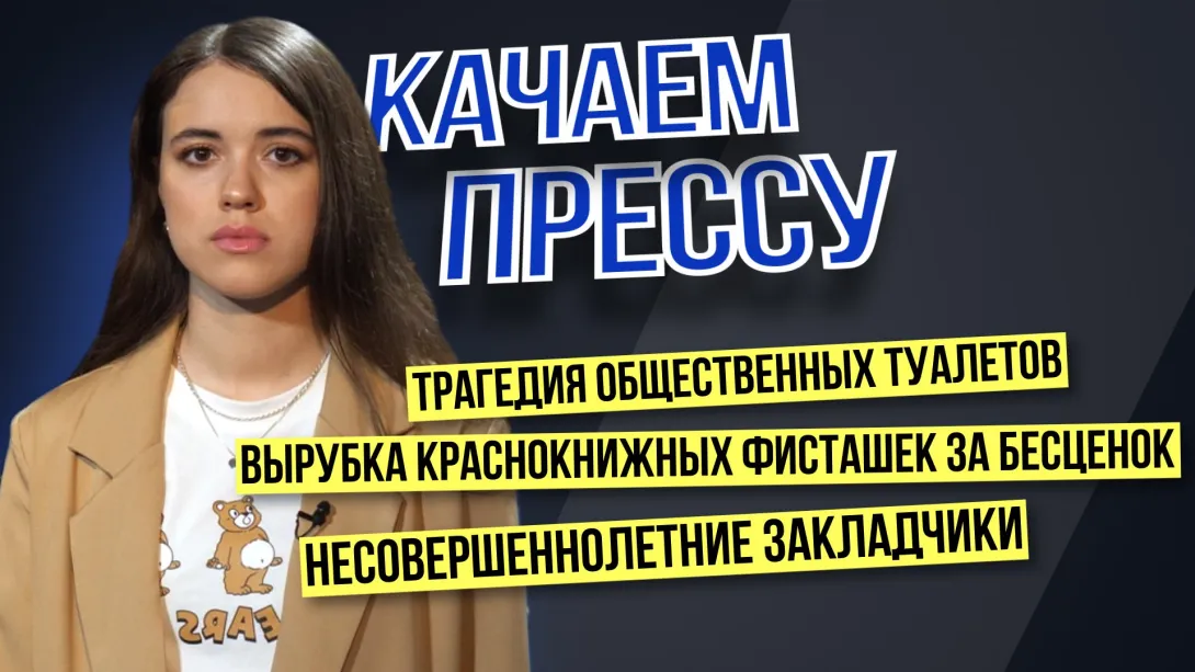 «Качаем прессу»: коллапс центра Севастополя из-за игрушки, смешной ущерб за вырубку 100 фисташек, туалетный кризис