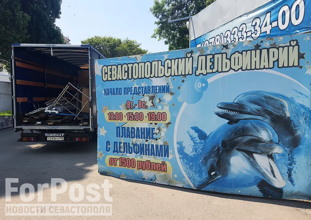 В центре Севастополя начали сносить дельфинарий