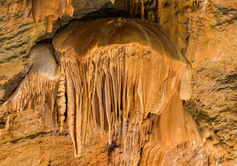 Туристам покажут доисторические окаменелости в одной из заповедных пещер Крыма 