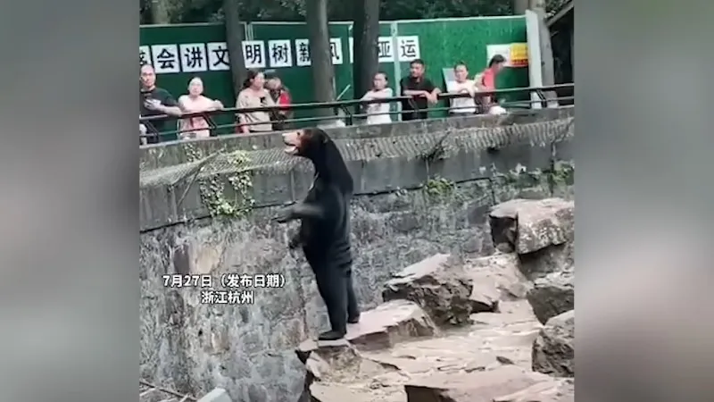 Зоопарк обвинили в том, что их медведь — это человек