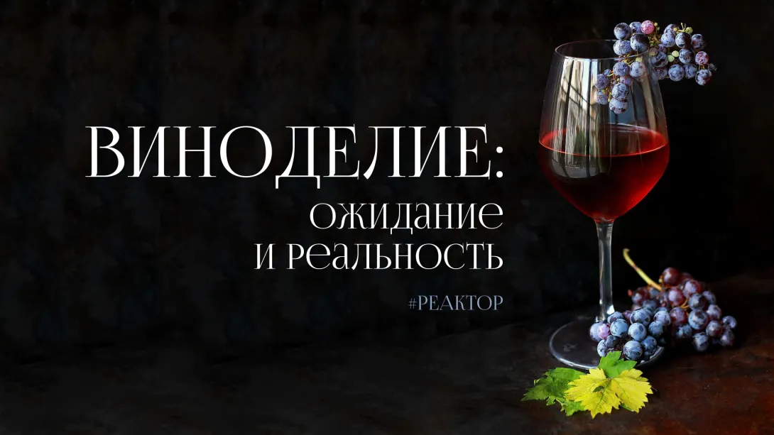 Севастопольское виноделие – занятие не для слабонервных? ForPost «Реактор»