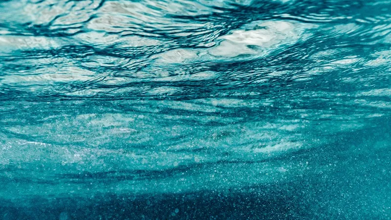 Метеорологи зафиксировали необычайно высокую температуру морской воды