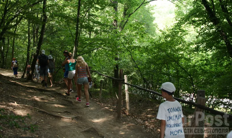 Туристам не дают отдыхать в севастопольских лесах «дикарём»