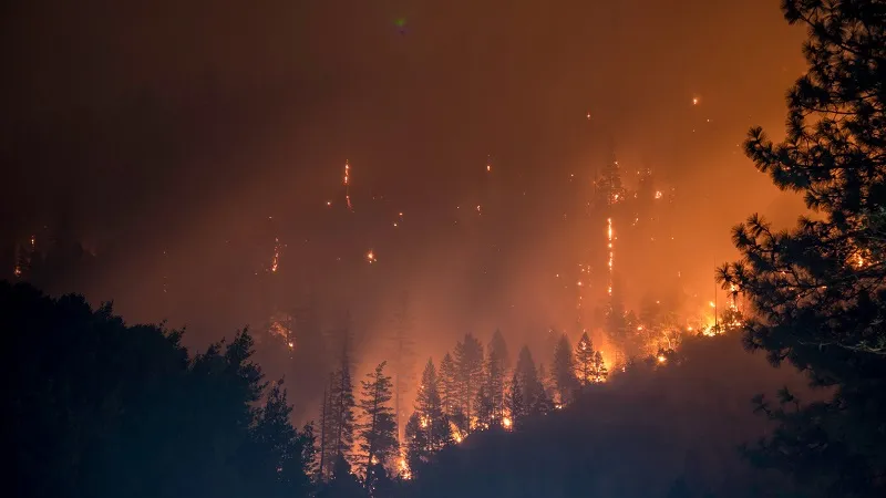 Учёные нашли связь между лесными пожарами и деменцией у людей