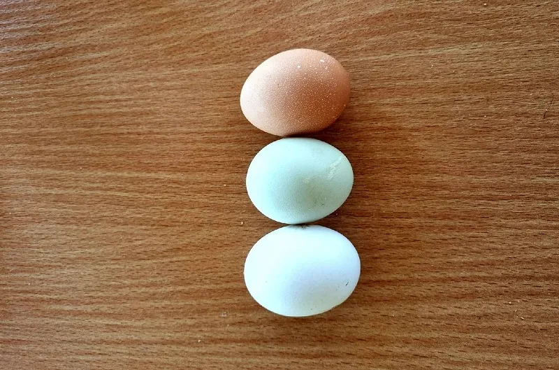 В Севастополе наблюдается значительный рост цен на яйца