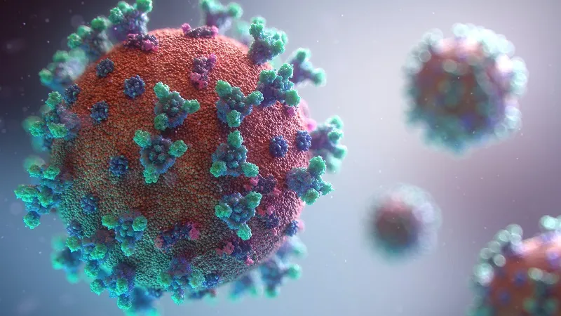 Обнаружены восемь новых вирусов, потенциально опасных для человека