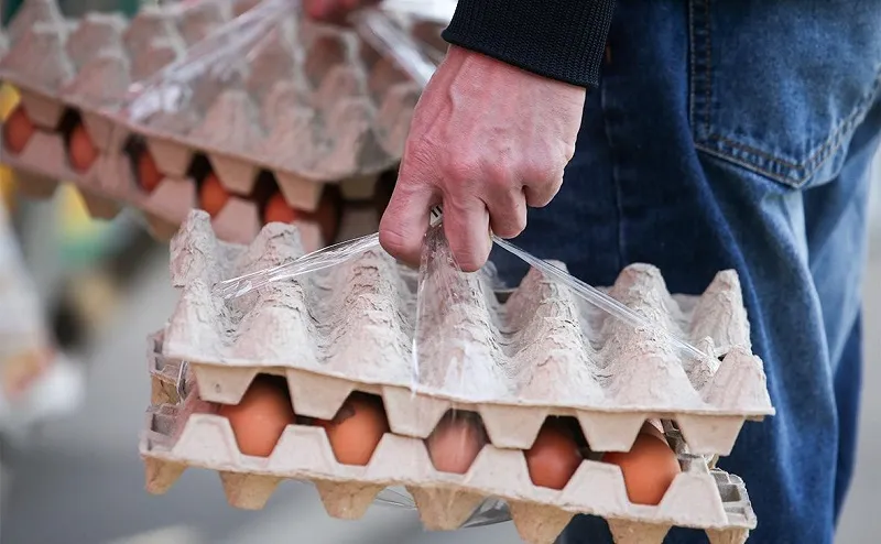 Стало известно, откуда в Россию повезут спасительные яйца