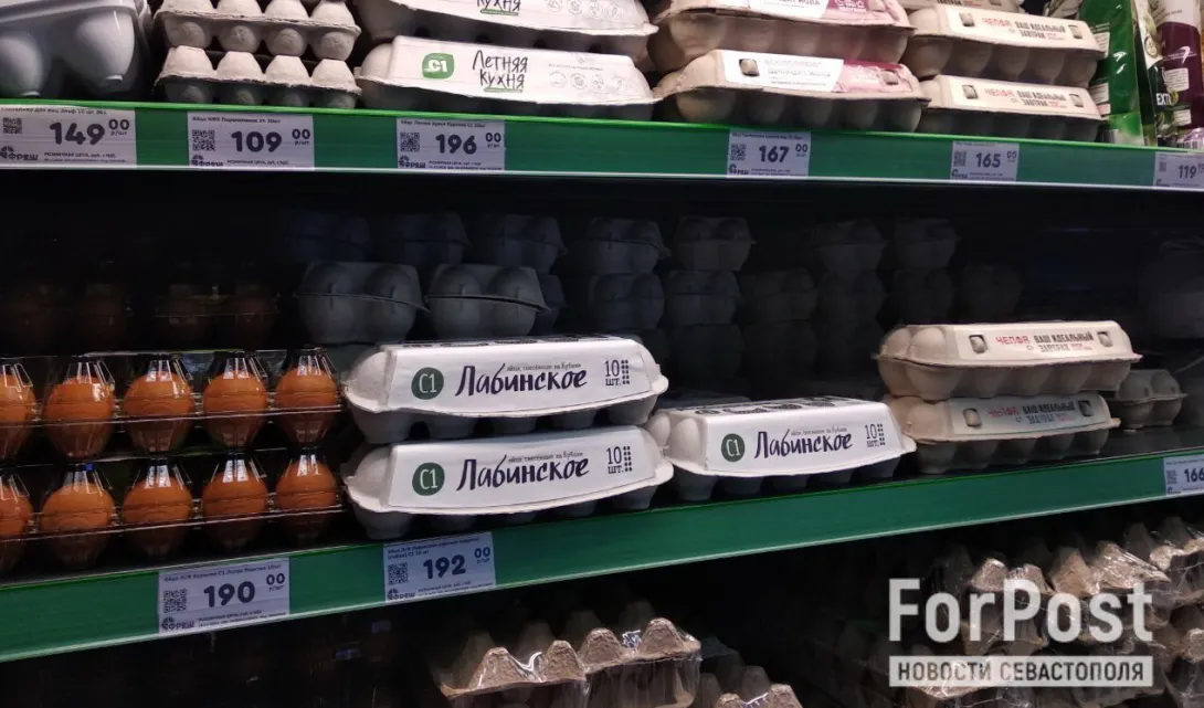 Экономист рассчитала цены на турецкие яйца в наших магазинах