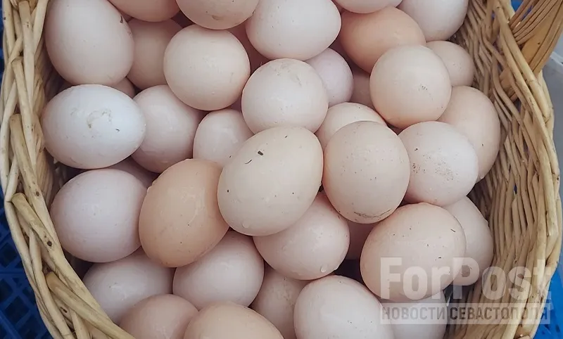 Кого и почему в Крыму заподозрили в картельном сговоре из-за дорогих яиц