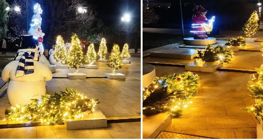 В Севастополе случился падёж новогодних ёлок в парке Победы 