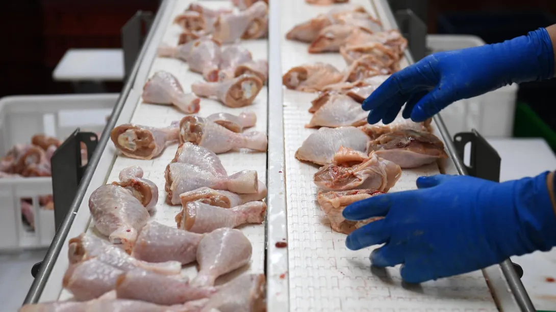 В России обнулили таможенные пошлины на ввоз мяса кур для стабилизации цен