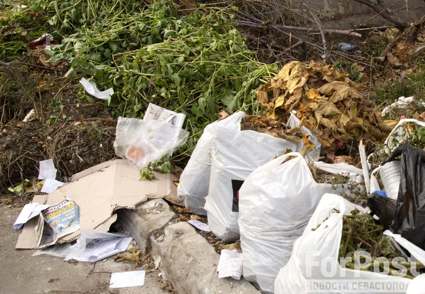 Ущерб только от одной свалки стройотходов в Севастополе превысил 53 миллиона рублей