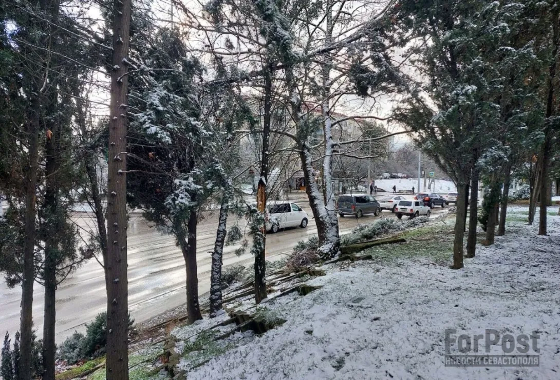 Морозная ночь в Севастополе обошлась без происшествий 