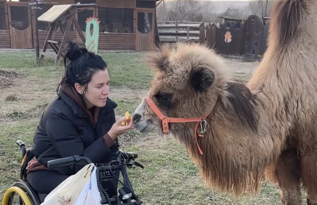 Как верблюда Бусинку в Севастополе спасли от продажи на мясо