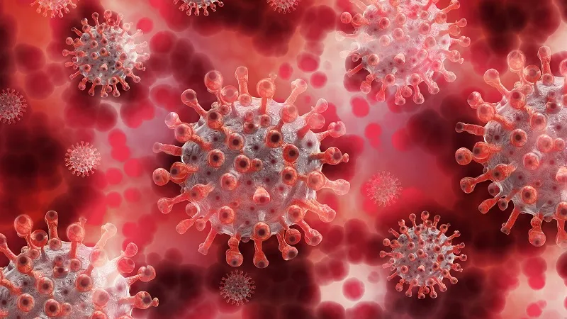 Обнаружено новое печальное последствие коронавируса