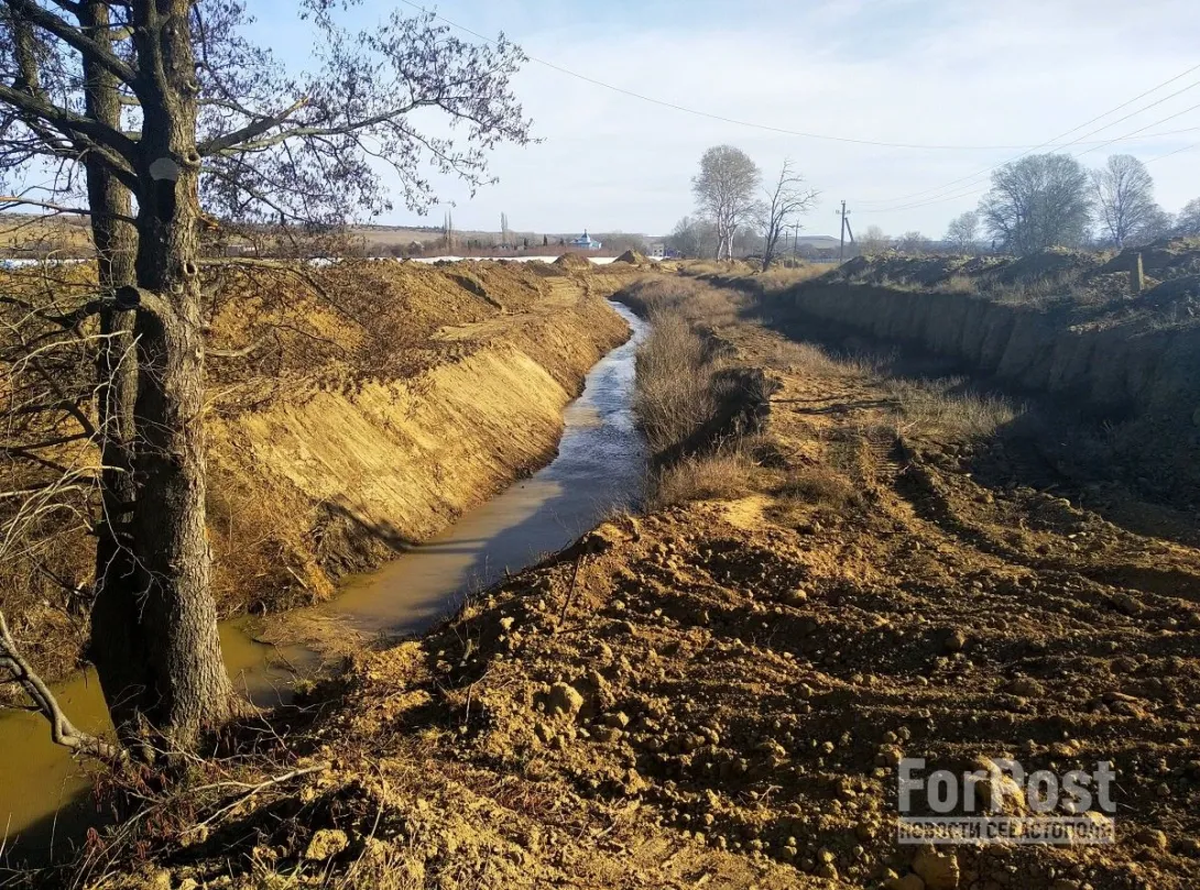 Жертвами дамбы в Севастополе стали более 400 деревьев
