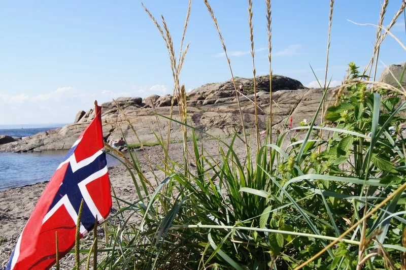 В Норвегии захотели отдать Украине «Морских королей»