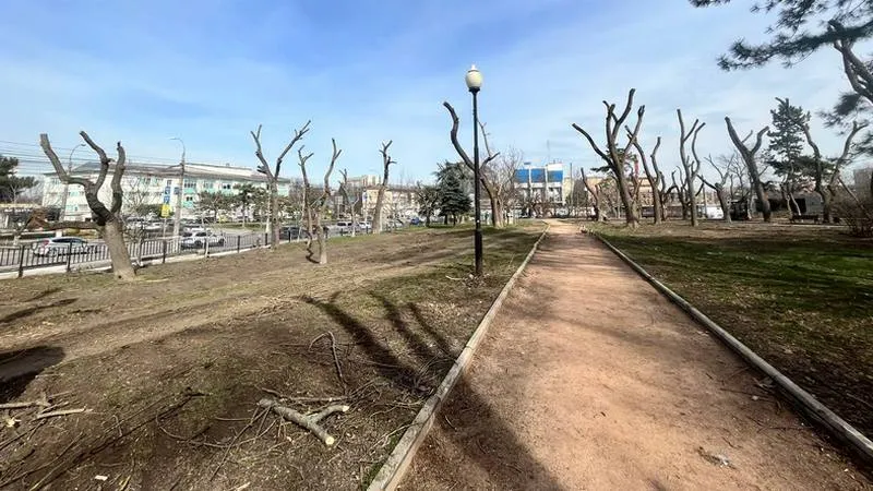 «Выглядит как Апокалипсис»: в Крыму вырубают парк имени главного украинского поэта?