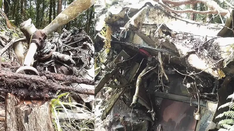 В лесной чаще нашли самолёт, пропавший 80 лет назад