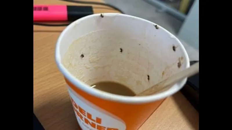 Кофе с насекомыми