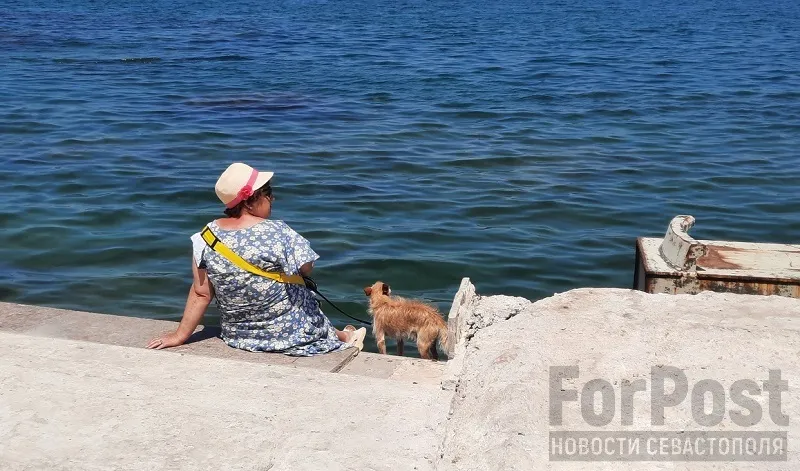 Наслаждаться летом в Крыму нужно с осторожностью.