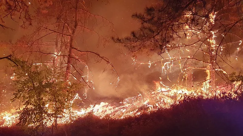 На охваченную огнём территорию уже сбросили больше 300 тонн воды.