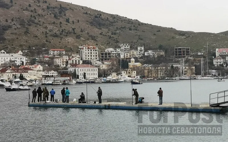 Чёрное море уже не кормит так, как раньше.