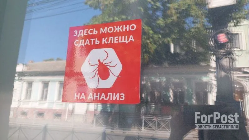 Укус клеща в Крыму может стать причиной серьёзного заболевания. 