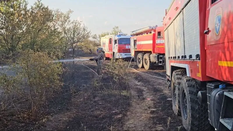 Быстрому распространению пожара на востоке Крыма способствовал ветер. 