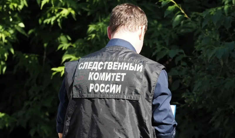 Дело о вывезенной из Крыма девочке-сироте находится на контроле в Москве.