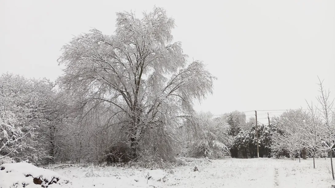 Где найти тонны снега под Севастополем 4 января. Фоторепортаж