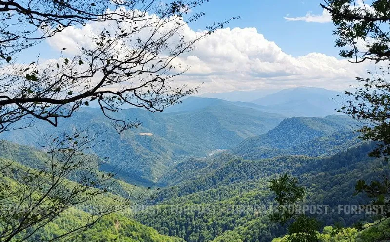 Разводить огонь в крымских лесах по-прежнему запрещено. 