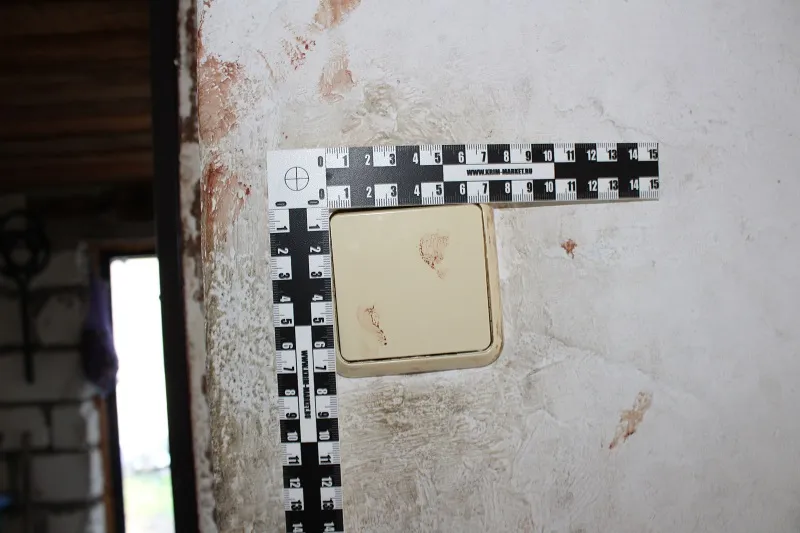 Подростка, убившего мать и бабушку, проверят психиатры