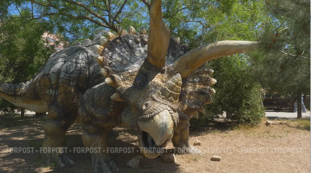 В Севастополе задержали бомжа – эксперта по можжевельнику из Динопарка