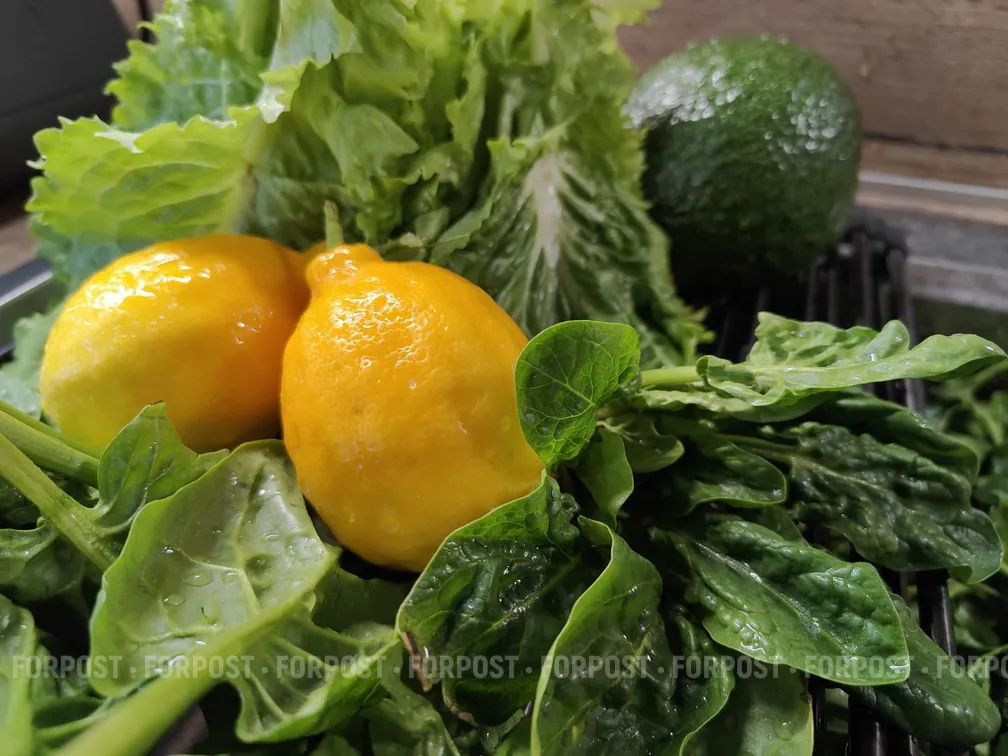 Пенсионерка вырастила дома килограммовый лимон