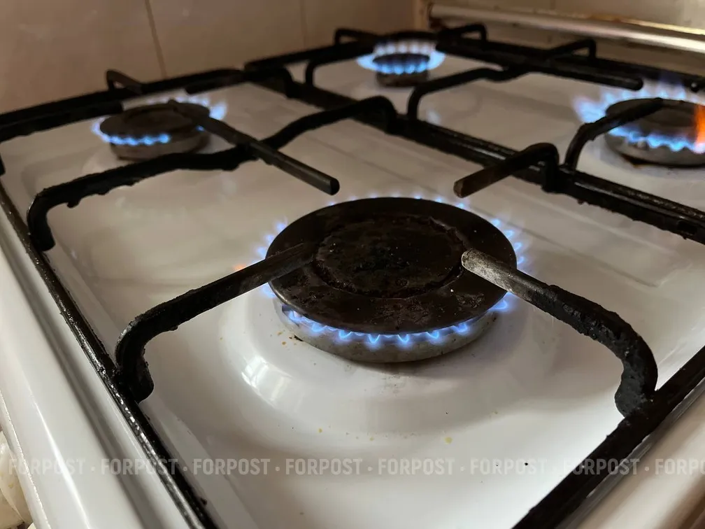 Хозяева оставили ужин на электроплите без присмотра