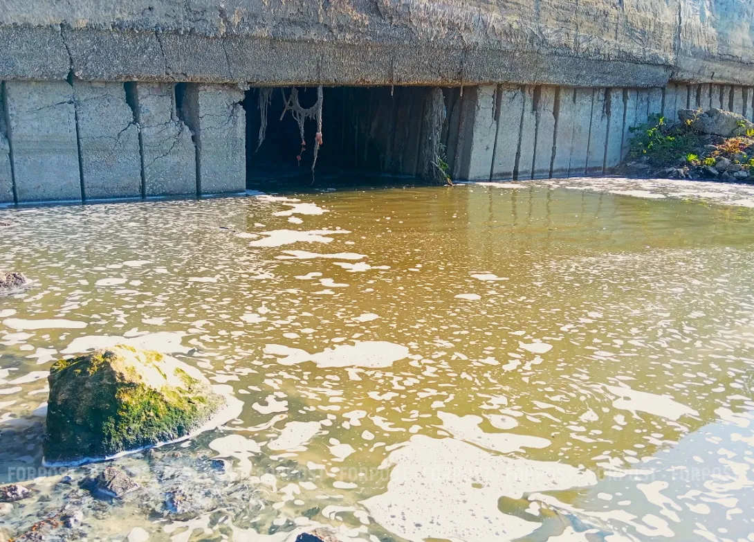 В Севастополе ищут устроителя фекальных разливов у моря 