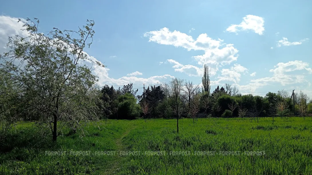 В Севастополе создаётся комиссия для утверждения статуса ООПТ