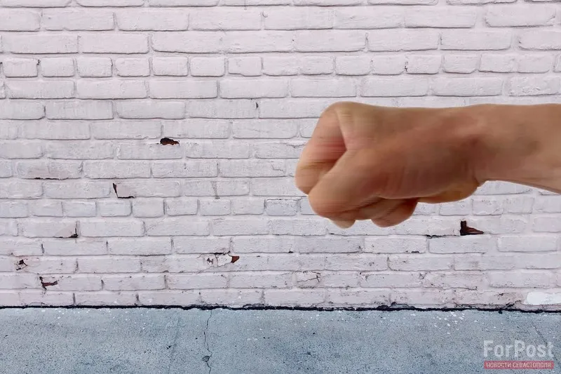 Общественники требуют с Овсянникова деньги за «Севастополь на коленях»