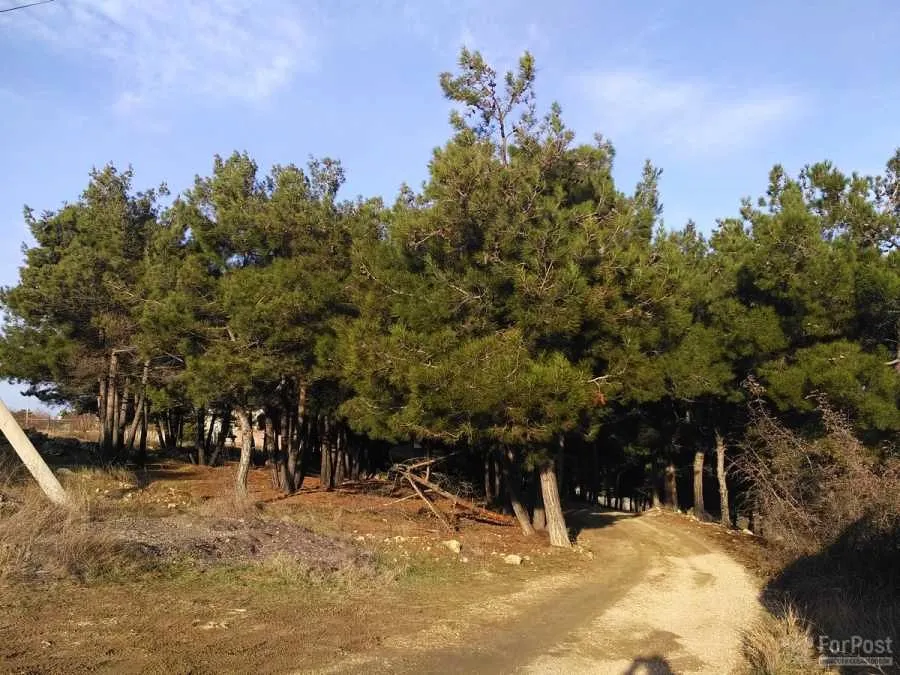 Счастливая ошибка Минприроды уберегла Севастополь