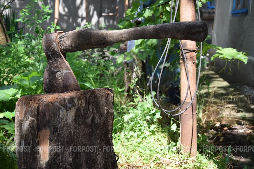 Краснокнижными дровосеками занялась севастопольская полиция