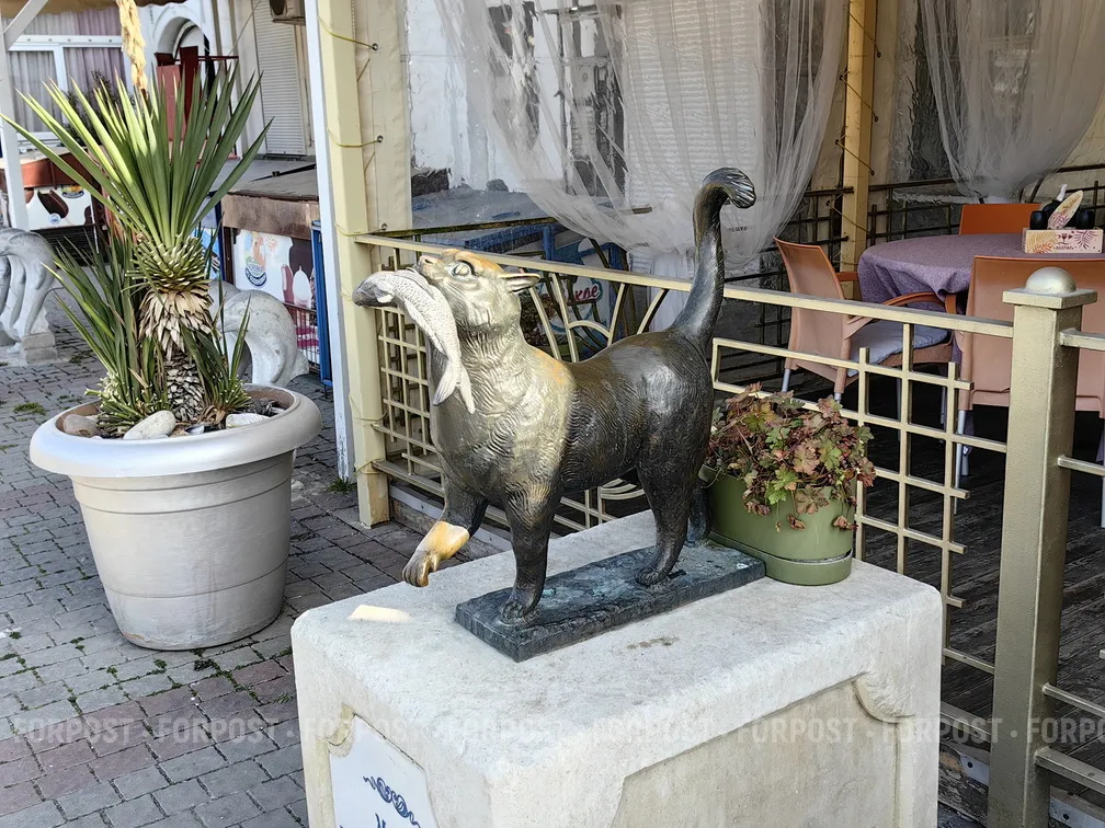 Кот с набережной Балаклавы доставлен в отделение полиции