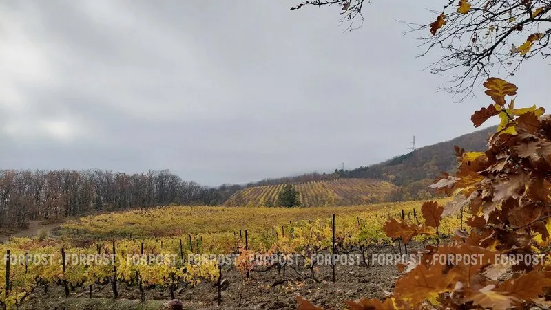 Температура воздуха в Крыму в ближайшую неделю будет сохраняться почти на одном уровне.
