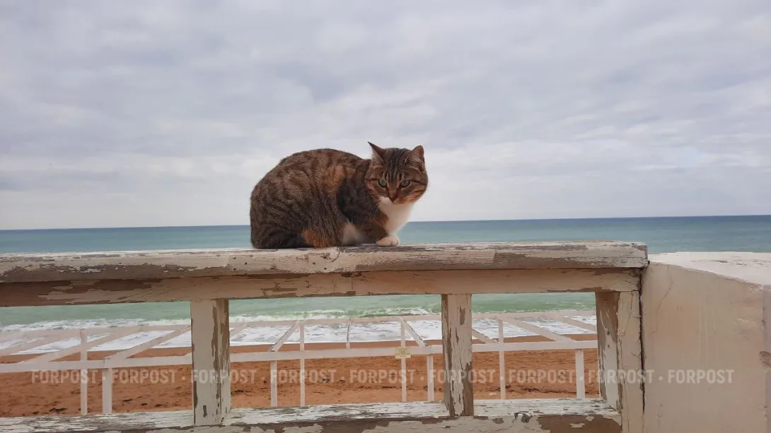 На пляже Учкуевка снесут почти все киоски