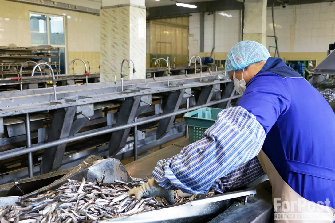 Названы причины высоких цен на продукты в Севастополе