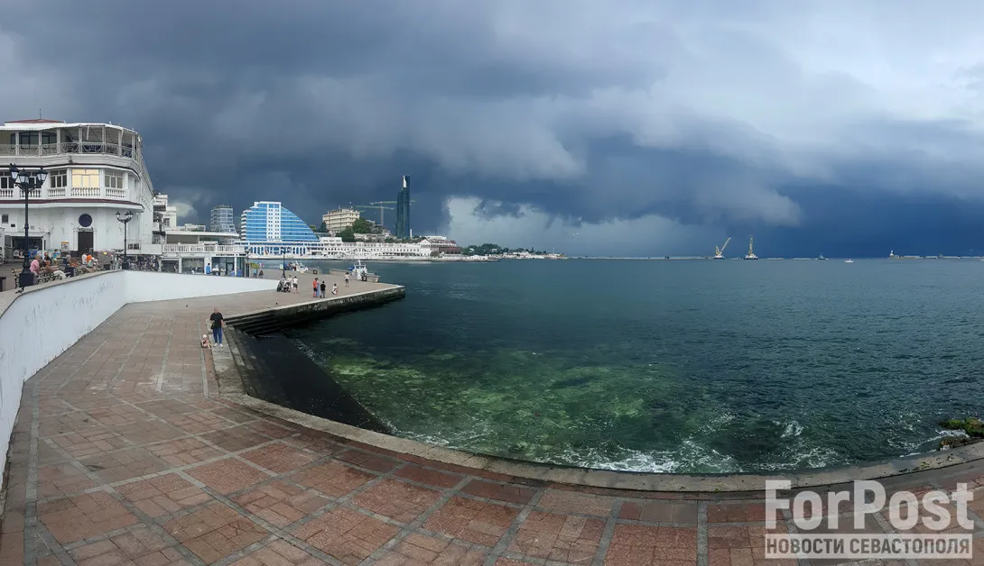Зима в Севастополе: по-весеннему тепло, вместо коньков - самокаты и скейты, и дождь