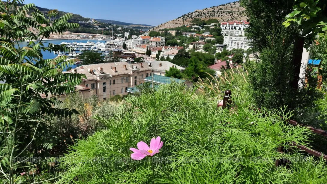 Севастопольцы могут прятать зонты подальше