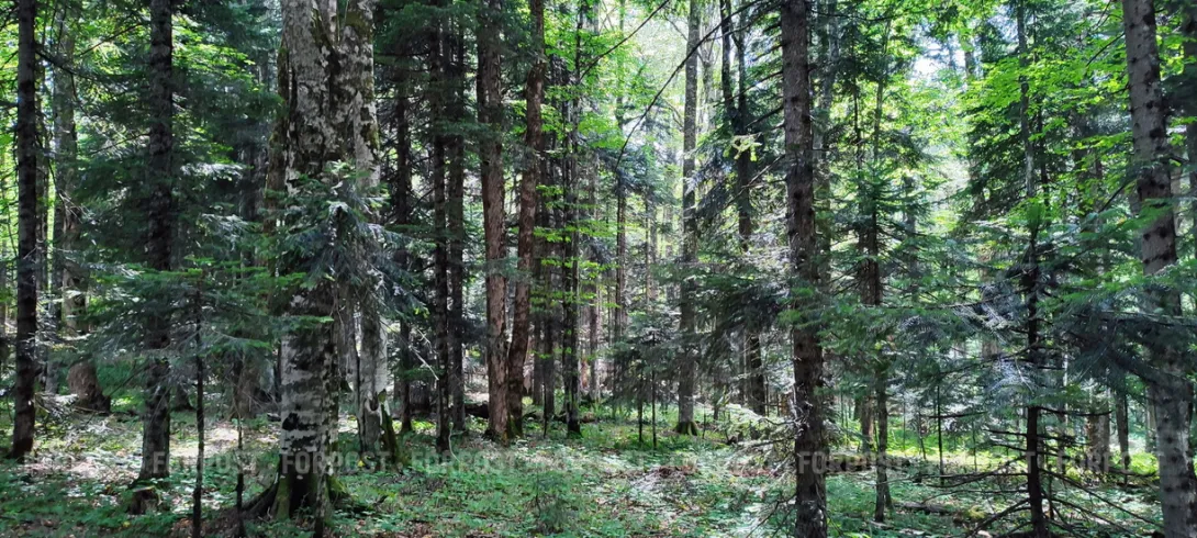 Заместителю генпрокурора отказали в защите интересов Севастополя